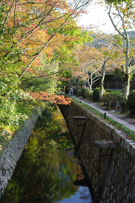 2009紅葉 Ⅱ　真如堂～吉田山～哲学の道_f0152550_22441460.jpg