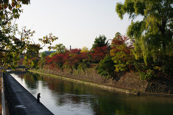 2009紅葉 Ⅱ　真如堂～吉田山～哲学の道_f0152550_22443082.jpg