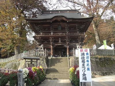 毘沙門様の菊祭り_a0084753_13455935.jpg