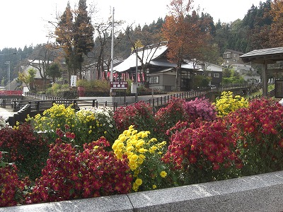 毘沙門様の菊祭り_a0084753_13512015.jpg