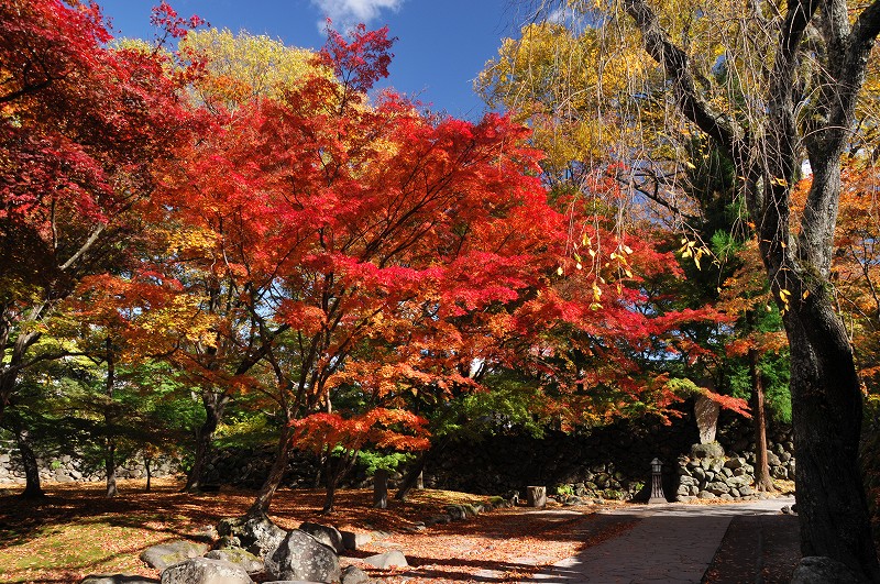 小諸市懐古園　その1_c0050853_21355944.jpg