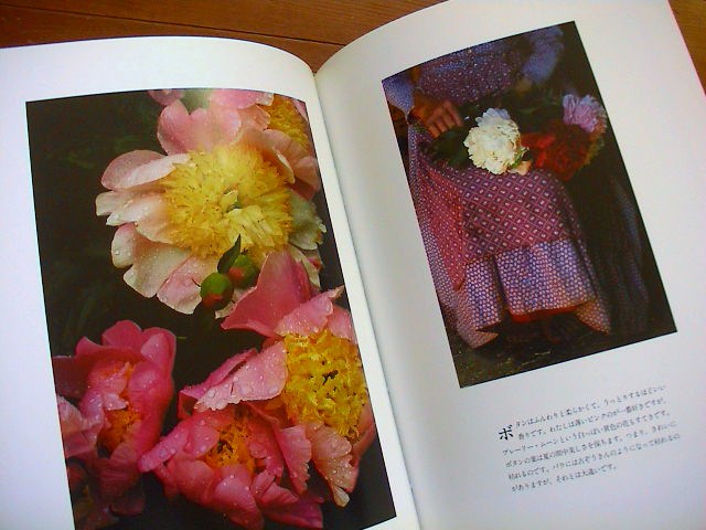 ターシャの本。_e0060555_17272247.jpg