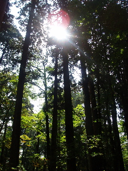 長野プチ旅行記 ②(続き)_a0061057_23383653.jpg