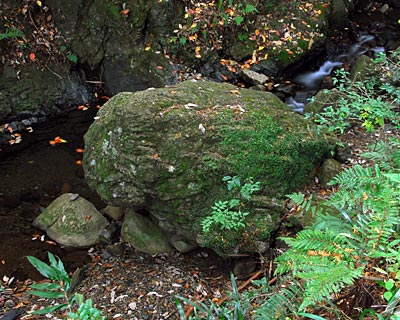 e0035757_17382953.jpg