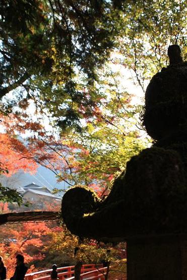 秋の京都を楽しむ＠西明寺_b0135560_2241061.jpg