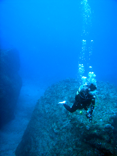 d0101062_11193488.jpg