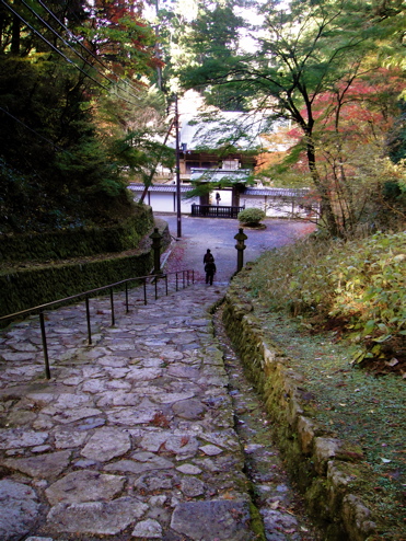 e0125762_2315425.jpg