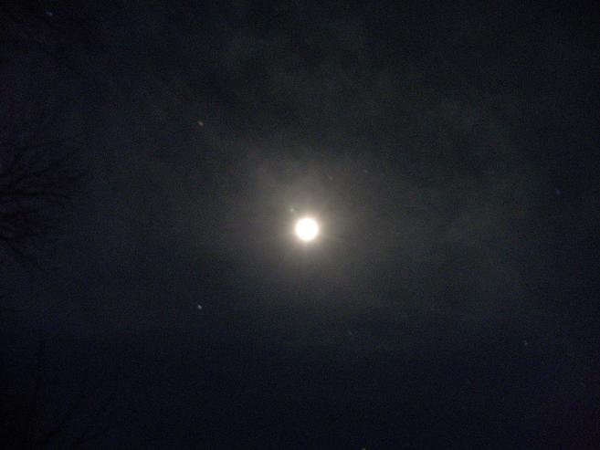 e0136962_104767.jpg