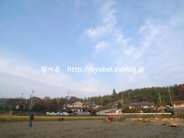c0153764_2119932.jpg