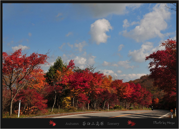 秋色に染まる高原_c0044166_22301411.jpg
