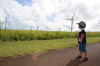 大きな空を見上げて。_f0167869_22274044.jpg