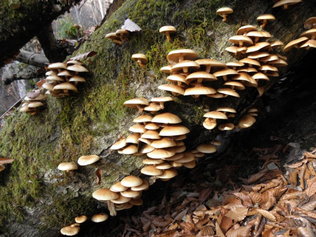 d0134473_17481316.jpg