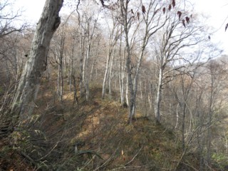 d0134473_17493316.jpg