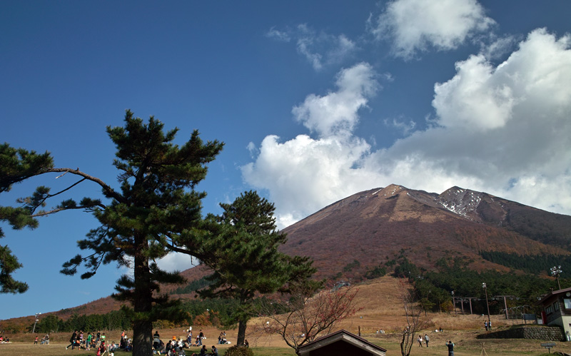 d0141173_523598.jpg