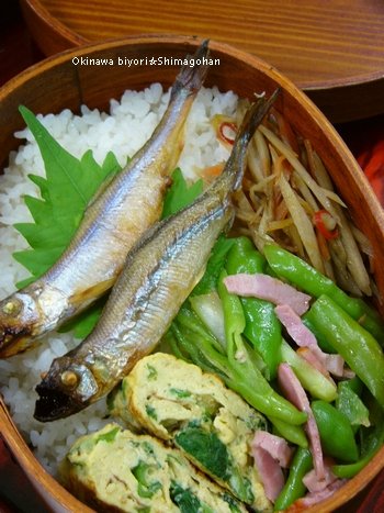 ヽ(ヽﾟﾛﾟ)!!!　ちょっと　ワイルドなお弁当♪_c0139375_11361055.jpg