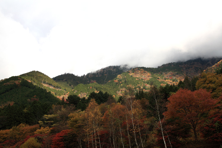 c0054876_1665146.jpg
