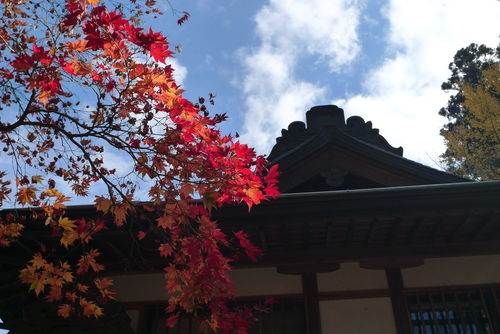 高野山は紅色に（前編）〜橋本ー高野山周回〜_c0177576_15314046.jpg