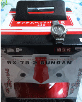 c0037384_253953.gif