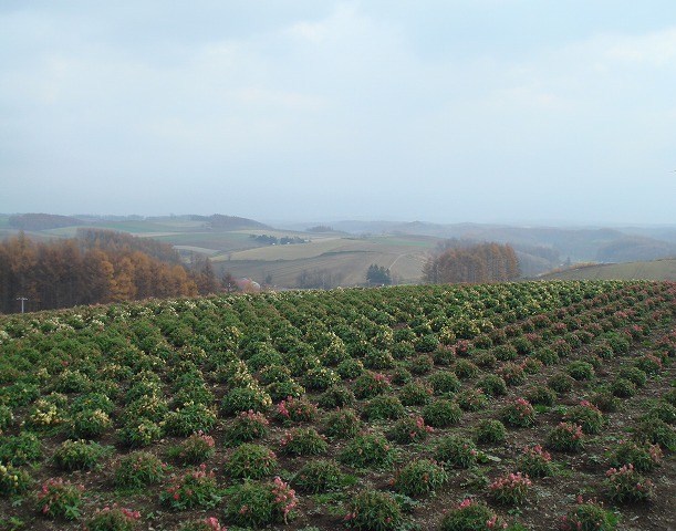 c0096685_22362783.jpg