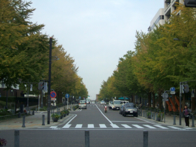 再び、横浜・港の見える丘公園のバラ園へ_d0099791_22333779.jpg