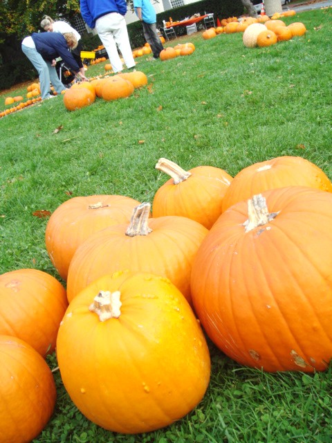 c0103793_15533625.jpg