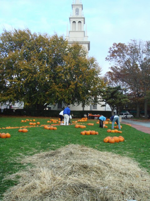 c0103793_16343214.jpg