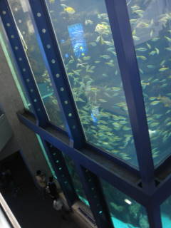 c0191597_8191330.jpg