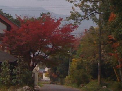 c0165498_1752649.jpg
