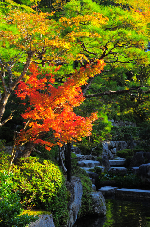 百済寺_b0158403_1336506.jpg