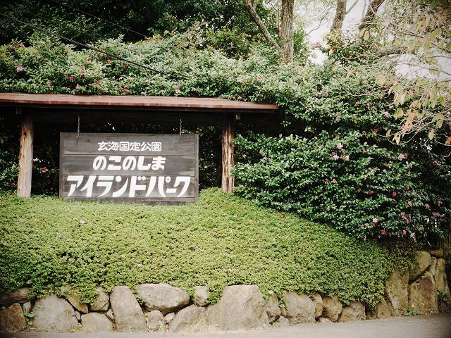 うさことその友達_c0198903_10265831.jpg
