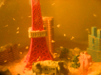c0222805_20529.jpg