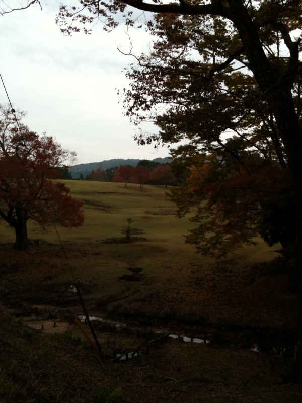奈良の秋景伍_d0000607_61405.jpg