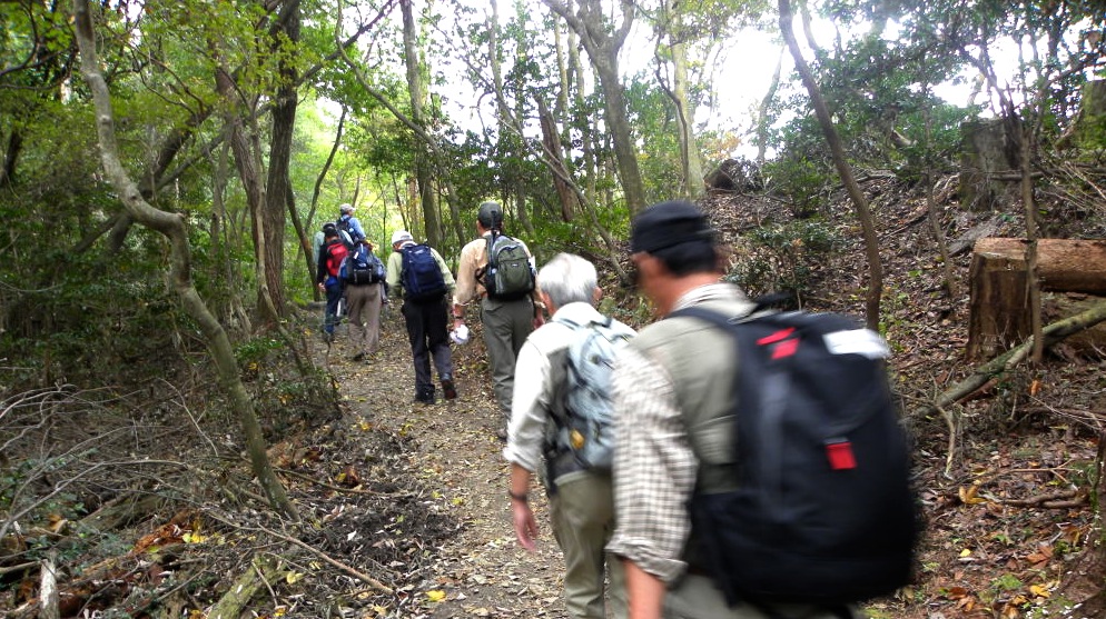 京の大文字山　１１月１０日（火）_c0078410_814743.jpg