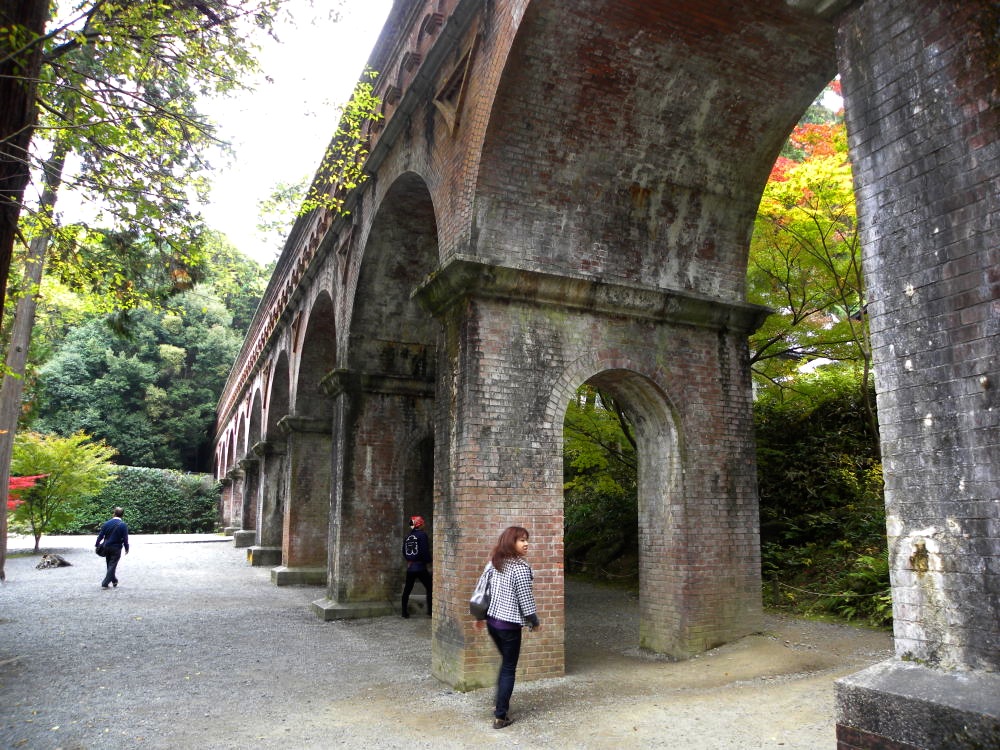 京の大文字山　１１月１０日（火）_c0078410_8194360.jpg