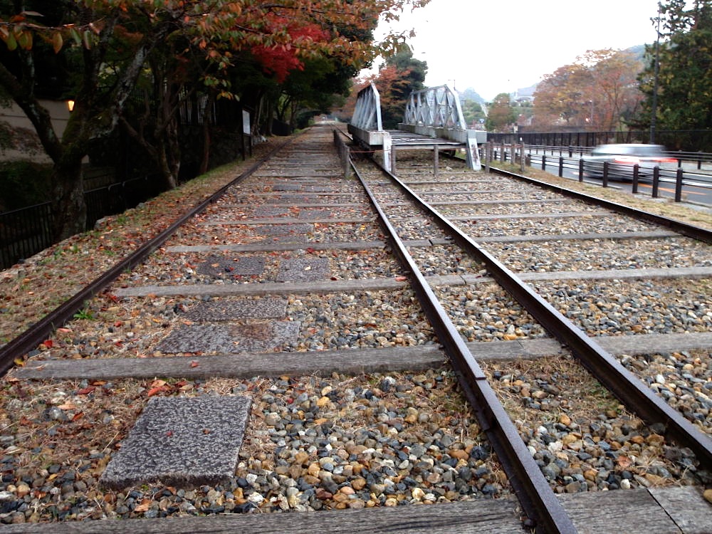 京の大文字山　１１月１０日（火）_c0078410_8313216.jpg