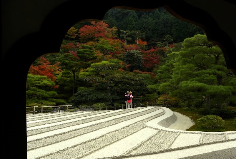 京の大文字山　１１月１０日（火）_c0078410_863433.jpg