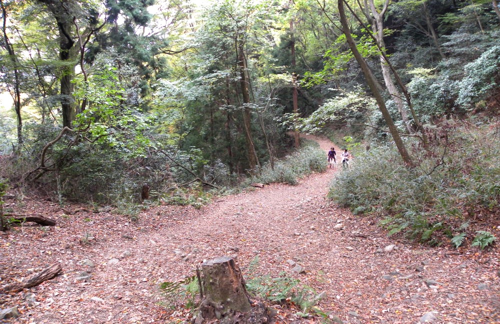 京の大文字山　１１月１０日（火）_c0078410_883626.jpg