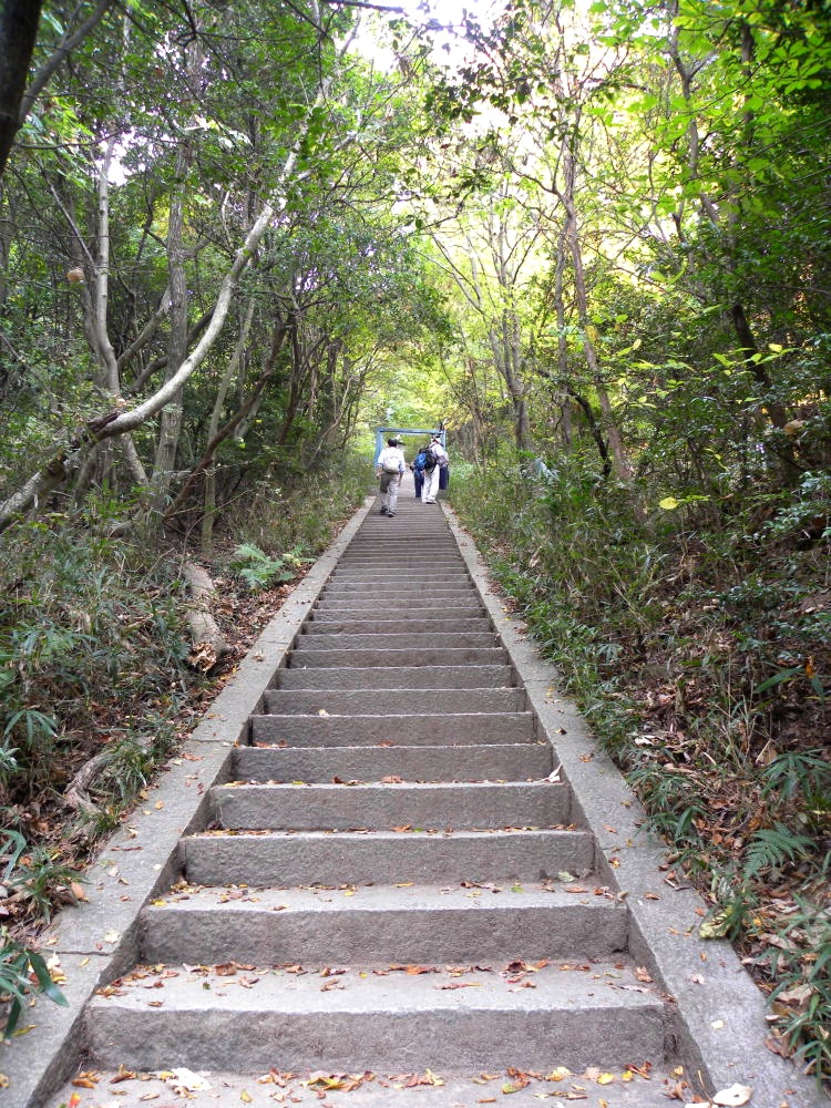 京の大文字山　１１月１０日（火）_c0078410_8925.jpg