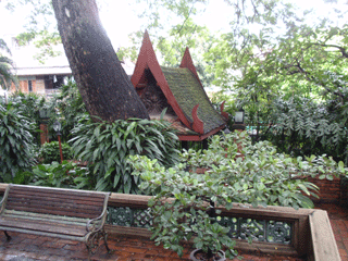 b0176111_20481310.gif