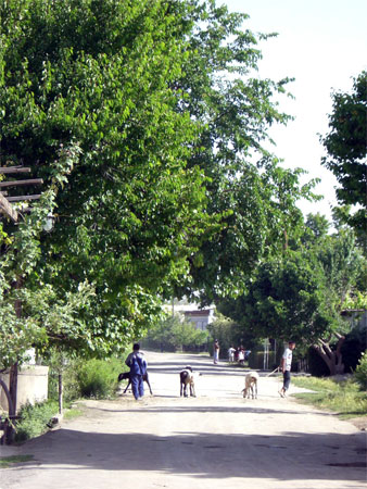 e0063212_22155477.jpg