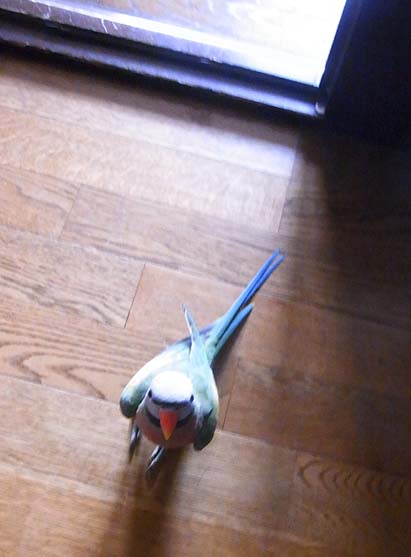 c0133013_19282482.jpg