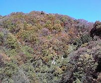 b0134915_15542991.jpg