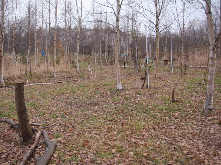 d0143719_1349142.jpg