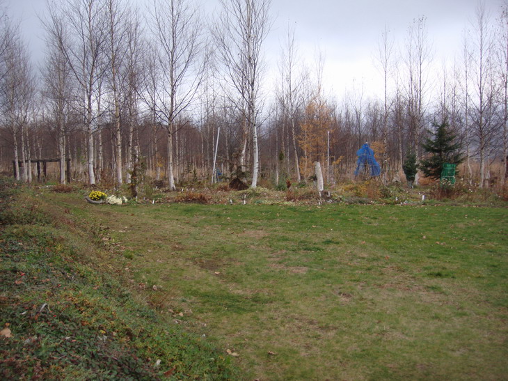 d0143719_13533349.jpg