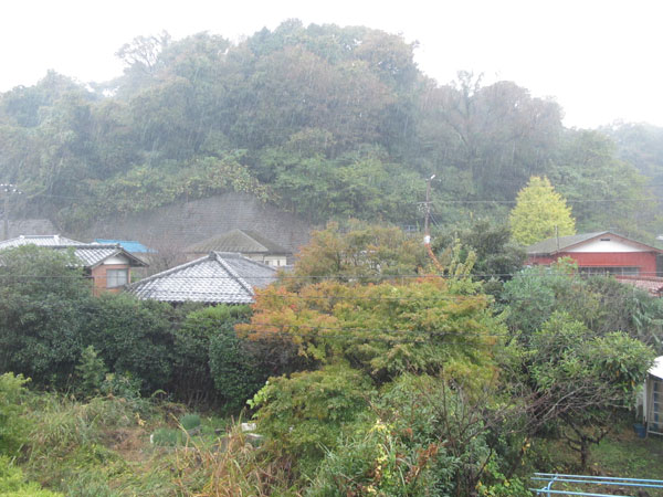 2009/11/11　雨ですね_f0034922_17134133.jpg