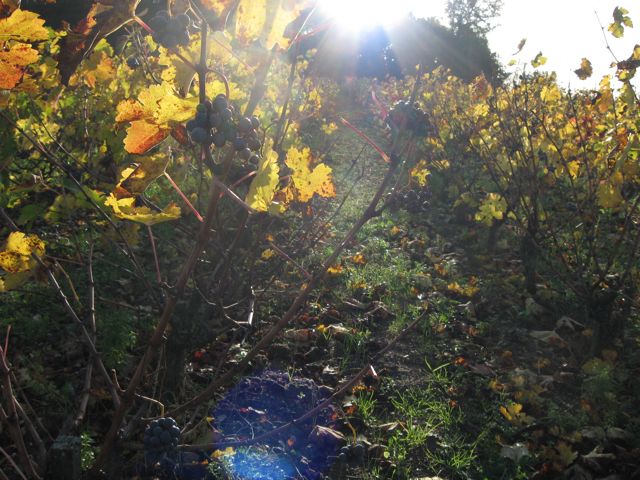 c0188527_0313333.jpg