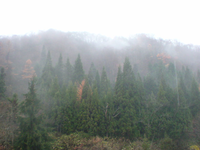 e0016828_93511.jpg