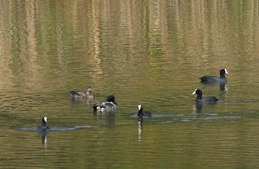 c0172139_104242100.jpg