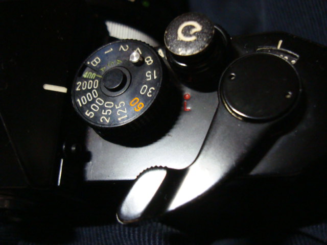 f0170545_2317963.jpg