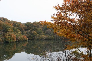 ☆宮島峡の秋の色☆_c0208355_16375687.jpg